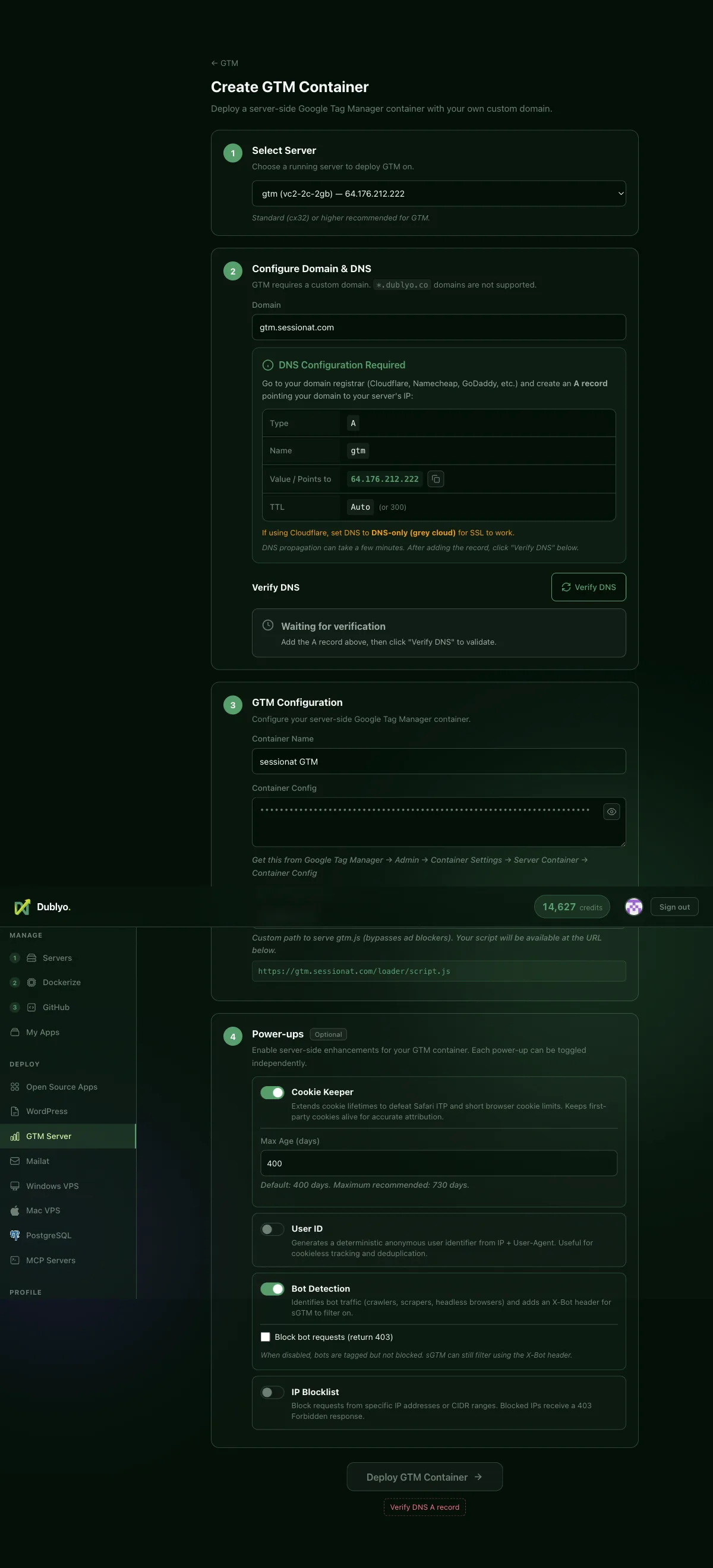 The full Dublyo GTM creation form: server, domain, DNS instructions, container config and power-ups