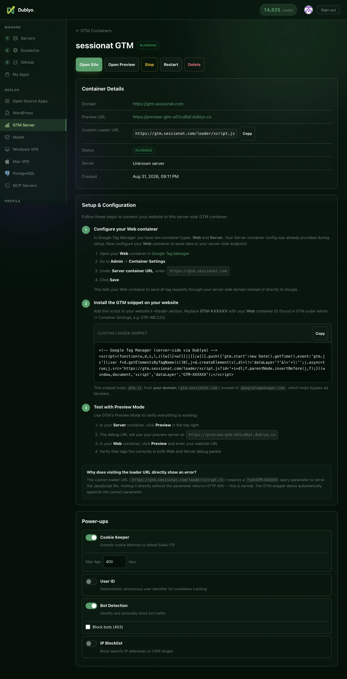 Dublyo container page: running status, domain, preview URL, custom loader URL, setup steps and power-ups