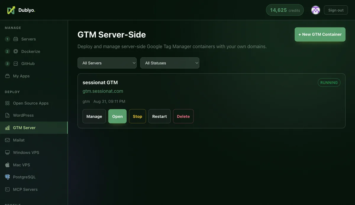 Dublyo GTM dashboard listing the running container