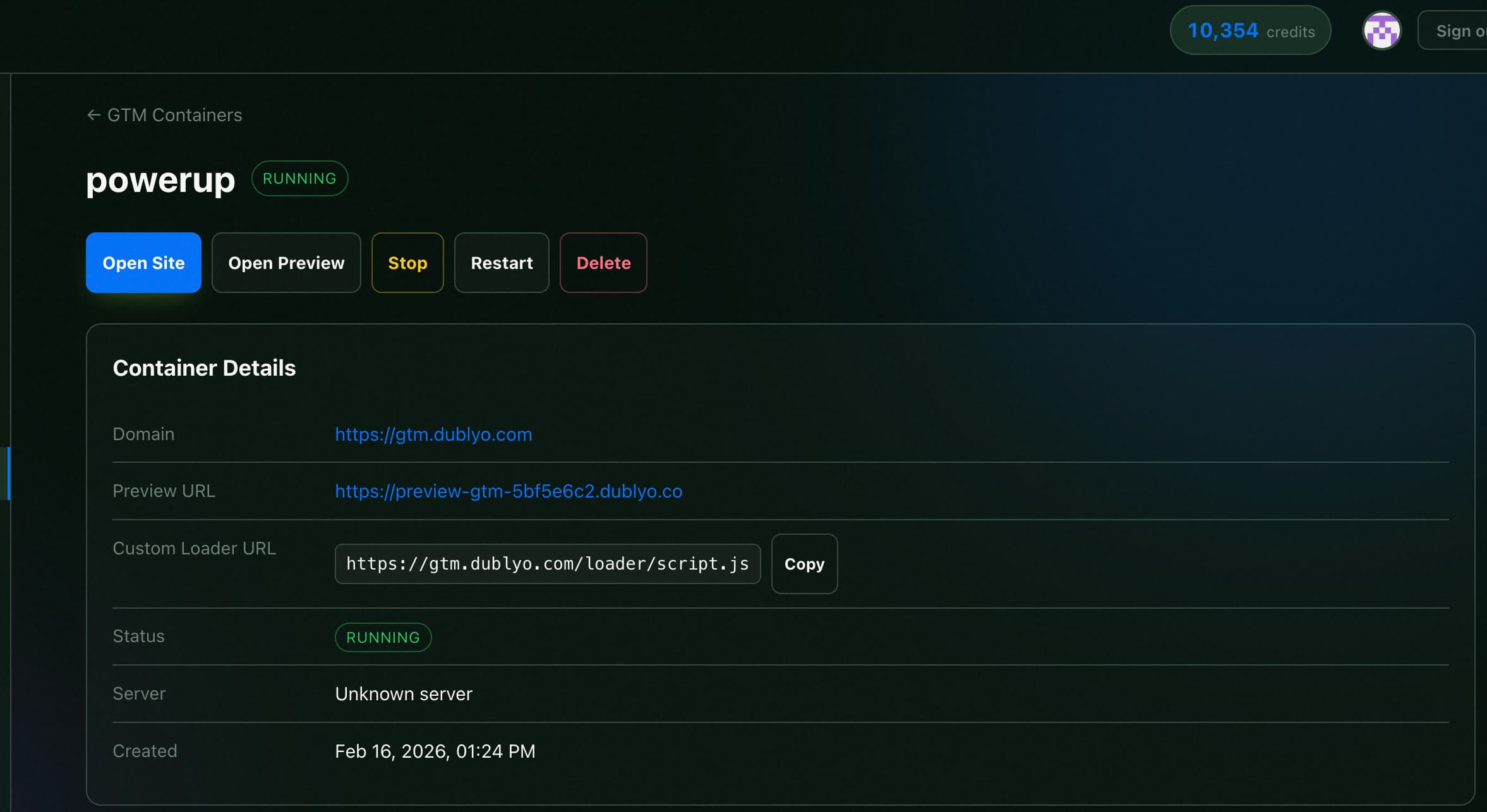 Dublyo GTM Server Dashboard